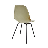 Herman Miller Eames Side Shell Chair in Seafoam Light on Black H Base