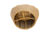 Rattan Pod Chair